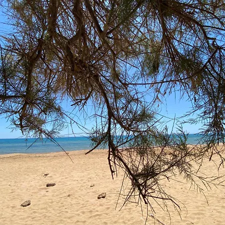 Apartment Sea View - Beautiful Terrace With Bbq Triscina